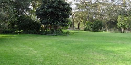 Hibiscus Guest House Nairobi Luaran gambar